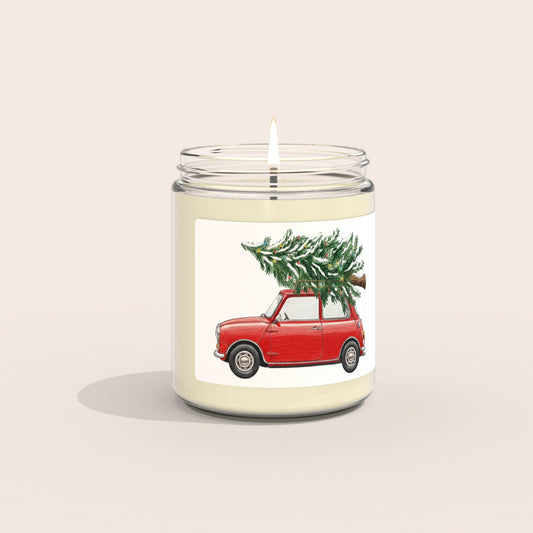 This is the last Christmas tree left